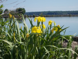 Roundout to Hudson River 6-6-14